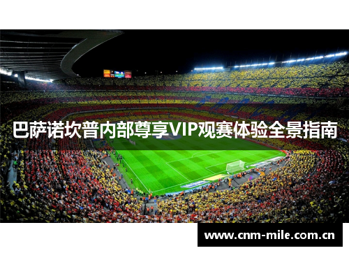 巴萨诺坎普内部尊享VIP观赛体验全景指南 巴萨诺坎普内部尊享VIP观赛体验全景指南